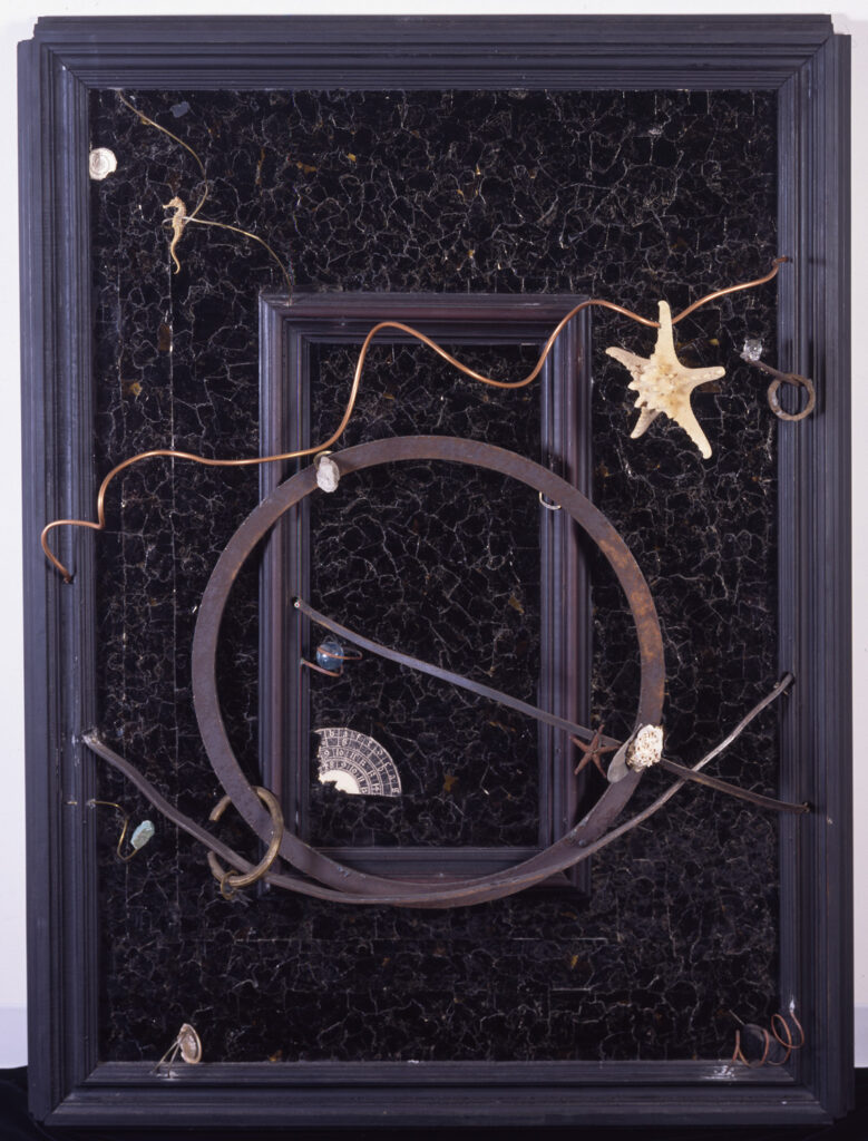 A dark frame containing various objects from a starfish and a marble, to a wire spring and metal hoop.